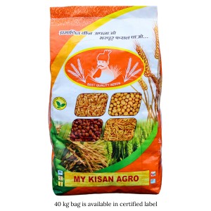 Pusa Tejas Hi 8759 Wheat Seed